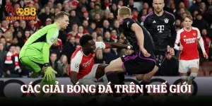 Các Giải Bóng Đá Trên Thế Giới