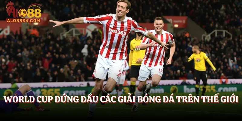 World Cup đứng đầu các giải bóng đá trên thế giới